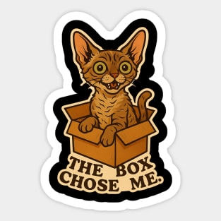My Cat Likes to Sit in Boxes - Devon Rex Sticker